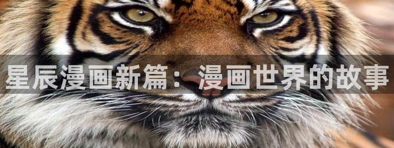 韩漫 免费
